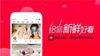 娱乐吃瓜视频剪映素材